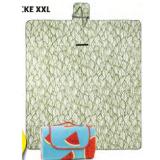 Promotion Bild von Home Creation Picknickdecke XXL versch. Modelle HOFER 1 Stück