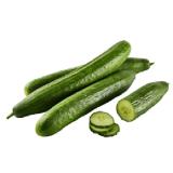 Bio Gurke Lidl 1 Stück