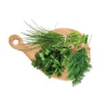 Schnittlauch, Koriander oder Dille Lidl 30 Gramm