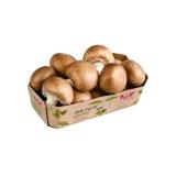 Bild von Ja! Natürlich  Tiroler Bio-Creme-Champignons BILLA 200 Gramm 1 Packung