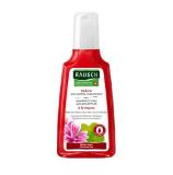 Rausch Shampoo div. Sorten BIPA 200 Milliliter 1 Stück