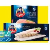 iglo Dorsch versch. Sorten, Premium Atlantik Lachs, Goldbrasse, Zander, Forelle oder Wolfsbarsch Naturfilets Maximarkt 1 Packung