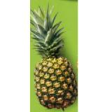 Promotion Bild von HOFER Marktplatz Ananas HOFER 1 Kilogramm