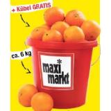 10 Liter Kübel mit Orangen Maximarkt 6 Kilogramm