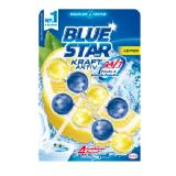 Blue Star WC-Steine Duo-Pack versch. Sorten MPREIS 1 Packung