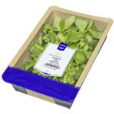 Promotion Bild von Metro Chef Basilikum, Preisangabe ohne MwSt. (Preis inkl. MwSt. 3,29 €), METRO 100 Gramm 1 Packung
