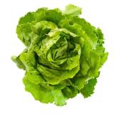 Bild von Kopfsalat MPREIS 1 Stück