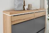 Dieter Knoll Collection  LED-Beleuchtung bei Schuhschrank 15290092 XXXLutz 1 Stück