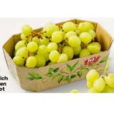 Promotion Bild von Ja! Natürlich Bio-Trauben weiß od. rot kernlos BILLA PLUS 500 Gramm 1 Packung