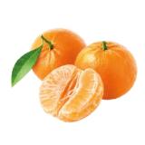 M Clementinen MPREIS 1 Kilogramm 1 Netz