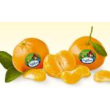 Bild von SanLucar fruchtig-frische Mandarinen BILLA 1 Kilogramm