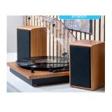 Schallplattenspieler mit Lautsprecher HOFER 1 Stück