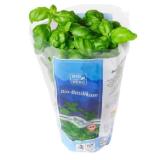 BIO vom BERG Kräutertöpfe versch. Sorten MPREIS 1 Stück