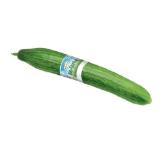 Spar Natur pur Knackige Bio-Gurke INTERSPAR 1 Stück