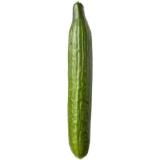 Bio Gurke MPREIS 1 Stück
