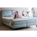 Promotion Bild von Dieter Knoll Collection Boxspringbett 1902006110 XXXLutz 1 Stück