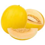 Honigmelone Lidl 1 Kilogramm