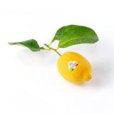 BILLA GENUSSWELT Amalfi-Zitronen unbehandelt BILLA 1 Stück