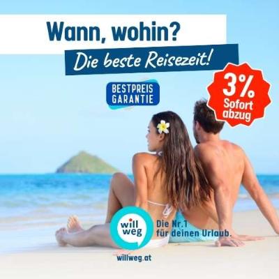 Prospekt von willweg.at