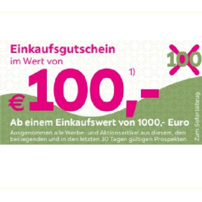 Einkaufsgutschein im Wert von €100,- Ab einem Einkaufswert von 1000,- Euro mömax