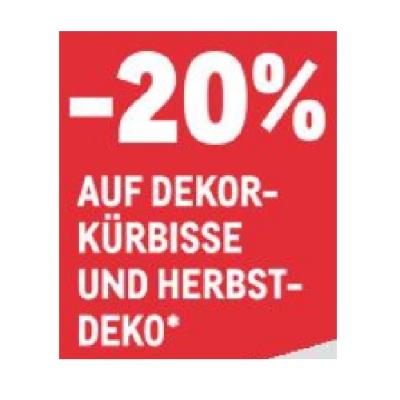 -20% AUF DEKOR-KÜRBISSE UND HERBST-DEKO METRO