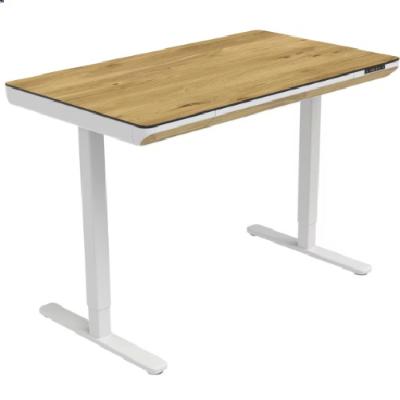 Xora Schreibtisch 0788006202 je 199,- € XXXLutz