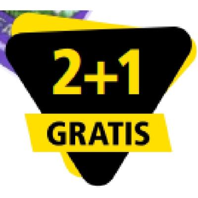 Ausgewählte Eierfarben 2+1 gratis PAGRO & LIBRO