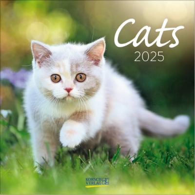 Promotion Bild von 5fach Ös auf Kalender LIBRO