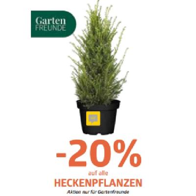 -20% auf alle HECKENPFLANZEN Bellaflora