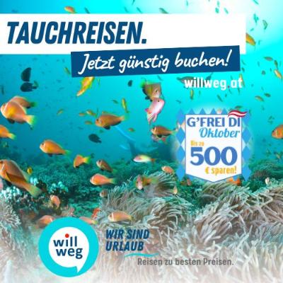 Tauchreisen mit willweg.at