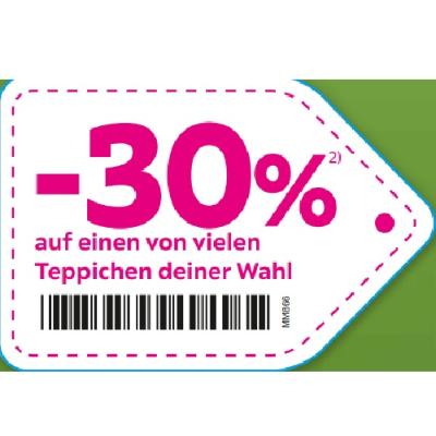 -30% auf einen von vielen Teppichen deiner Wahl mömax