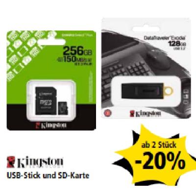 Kingston USB-Stick und SD-Karte ab 2 Stück -20% PAGRO & LIBRO