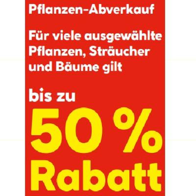 Pflanzen-Abverkauf Für viele ausgewählte Pflanzen, Sträucher und Bäume gilt bis zu 50% Rabatt HELLWEG